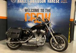 Harley-Davidson 883 Low (2008 - 12) - XL 883L usata