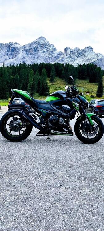 Kawasaki Z 800 ABS (2012 - 16) (2)