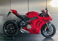 Ducati Panigale V4 (2022 - 24) usata