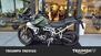 Triumph Tiger 900 Rally Pro (2024) (6)