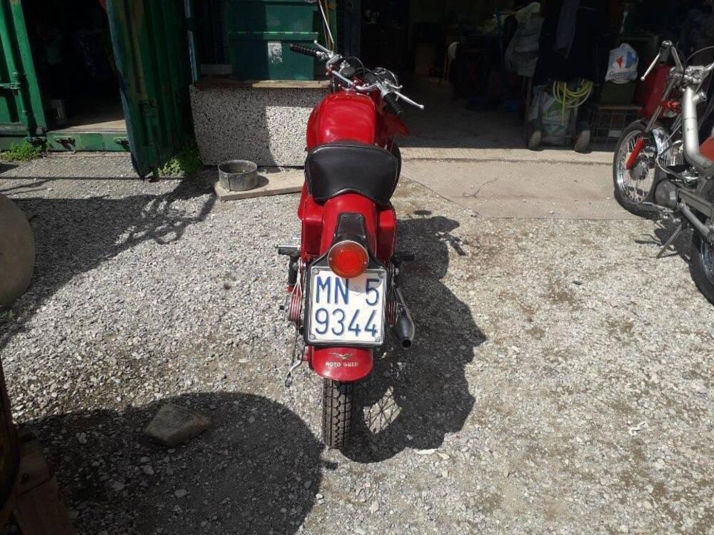 Moto Guzzi 250 airone  (3)