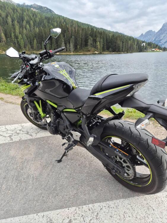 Kawasaki Z 650 (2020) (2)