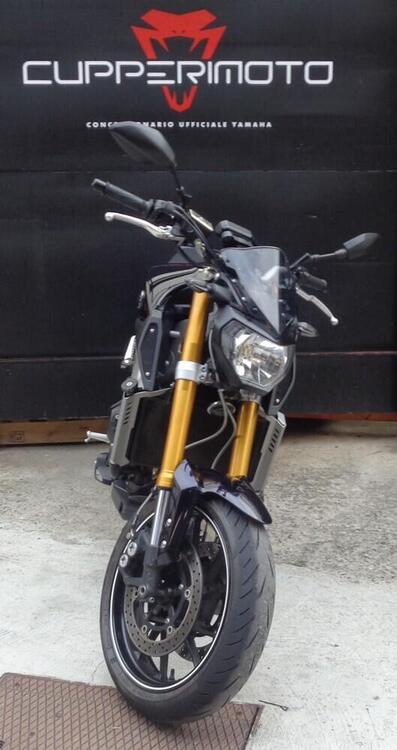 Yamaha MT-09 (2013 - 15) (5)