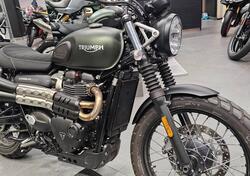 Triumph Scrambler 900 (2023 - 24) usata