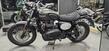 Triumph Scrambler 900 (2023 - 24) (7)