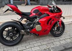 Ducati Panigale V4 (2022 - 24) usata