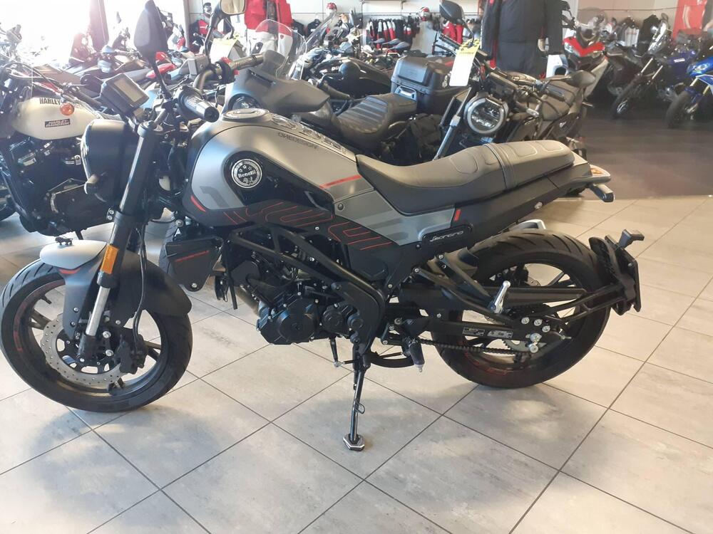 Benelli Leoncino 125 (2022 - 24) (2)