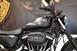 Harley-Davidson 883 Iron (2014 - 16) - XL 883N (11)