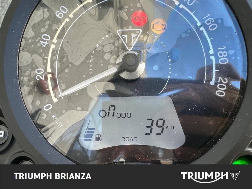 Triumph Speed Twin 900 Stealth Edition (2024) (5)