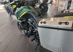 Benelli TRK 702X (2023 - 24) nuova