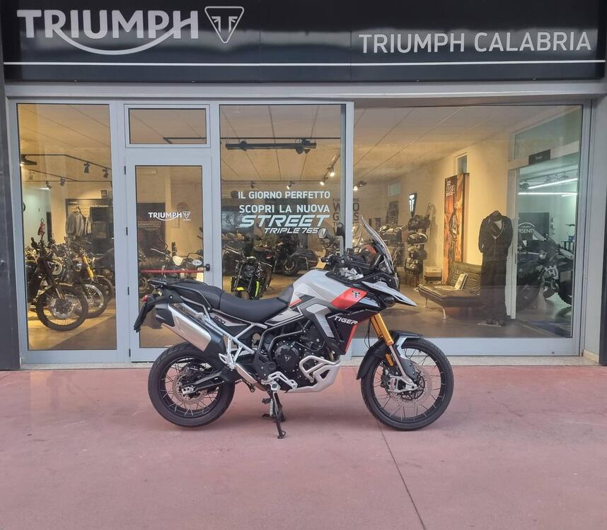 Triumph Tiger 900 Rally Pro (2024) (3)