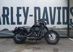 Harley-Davidson 1200 Roadster (2006 - 08) - XL 1200R usata