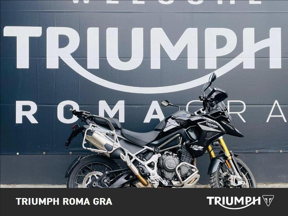 Triumph Tiger 1200 Rally Pro (2024) (2)