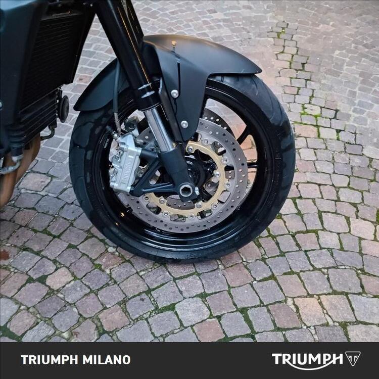 Triumph Speed Triple 1050 (2005 - 11) (4)