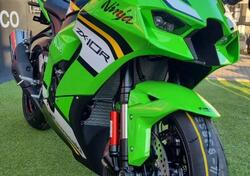 Kawasaki Ninja 1000 ZX-10R (2021 - 25) nuova