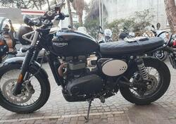 Triumph Scrambler 900 (2023 - 24) usata