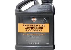 Liquido refrigerante Harley Davidson per Vrod e XG 