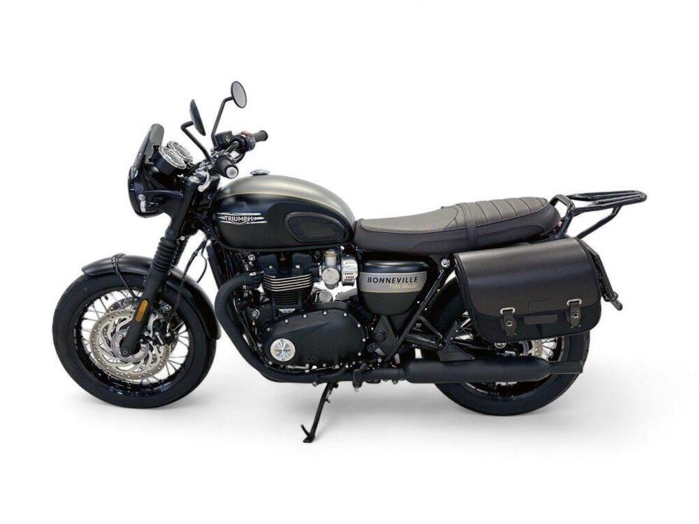 Triumph Bonneville T120 Gold Line Edition (2022 - 23) (3)