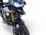 Triumph Tiger 900 Rally Pro (2020 - 23) (17)