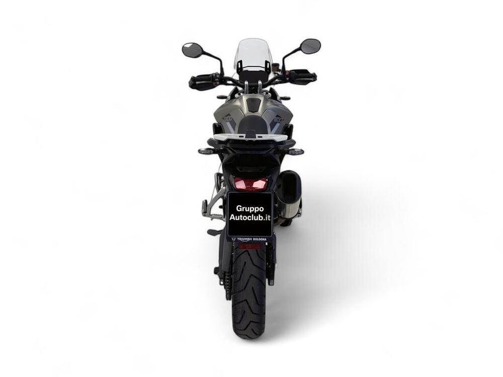 Triumph Tiger 900 Rally Pro (2020 - 23) (5)