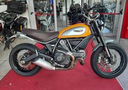 Ducati Scrambler 800 Icon (2015 - 16) usata