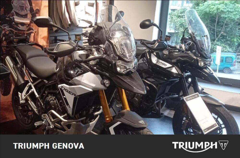 Triumph Tiger 900 Rally Pro (2024) (2)