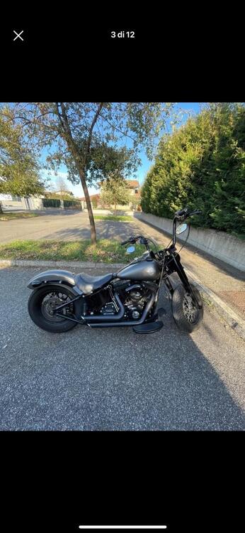 Harley-Davidson 1690 Slim (2011 - 16) - FLS (2)