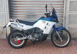 Kawasaki KLR 650 (1988 - 00) usata