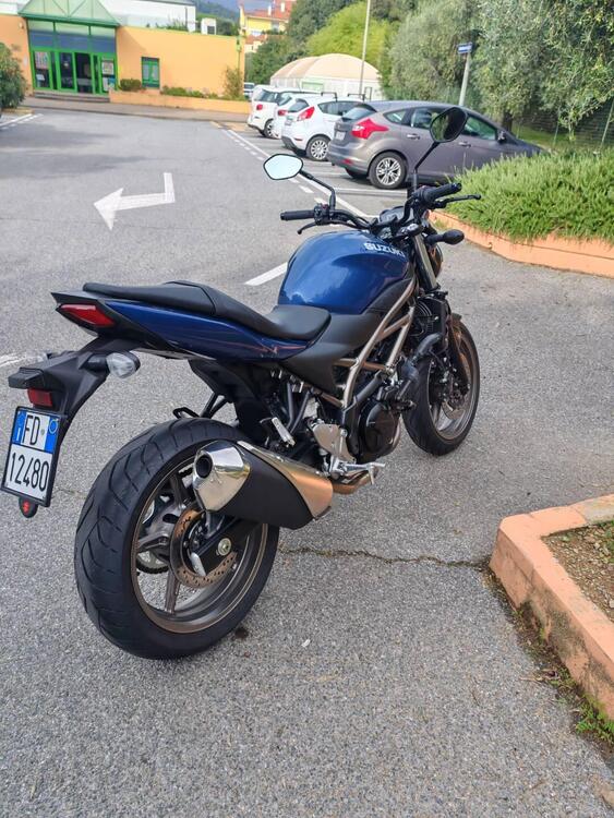 Suzuki SV650 (2021 - 24) (5)