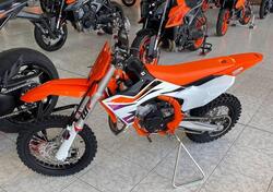 KTM SX 65 (2024 - 25) nuova