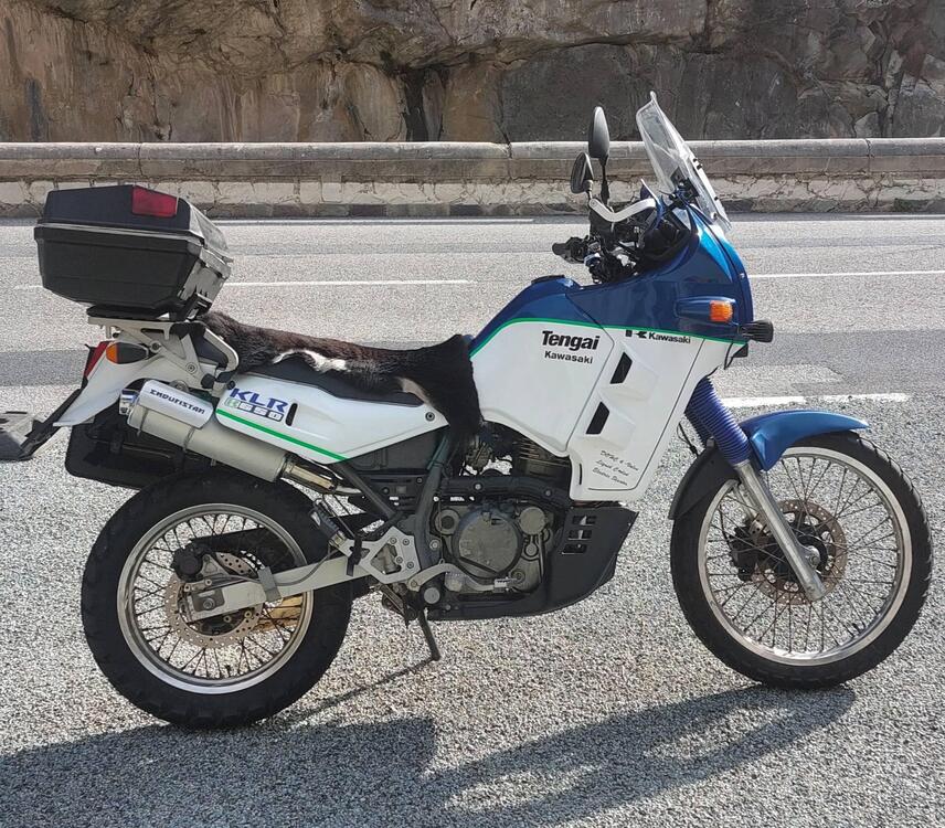 Kawasaki KLR 650 (1988 - 00) (3)