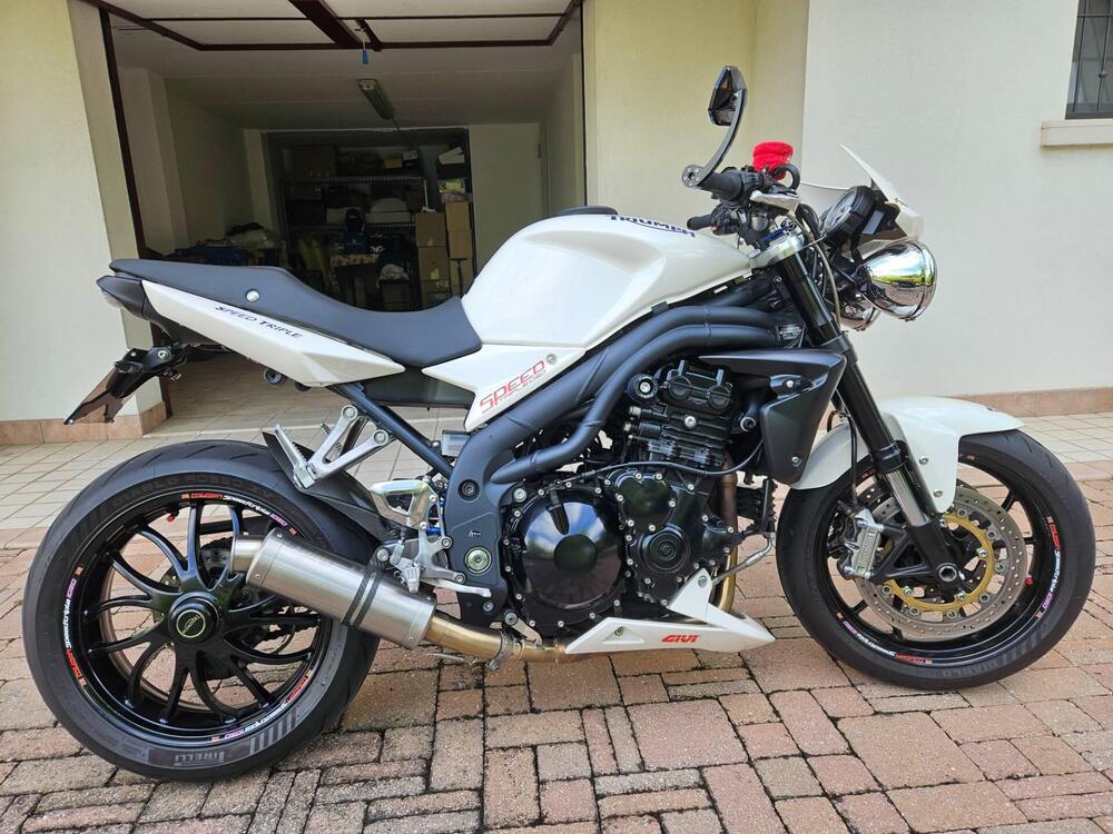 Triumph Speed Triple 1050 (2005 - 11) (4)