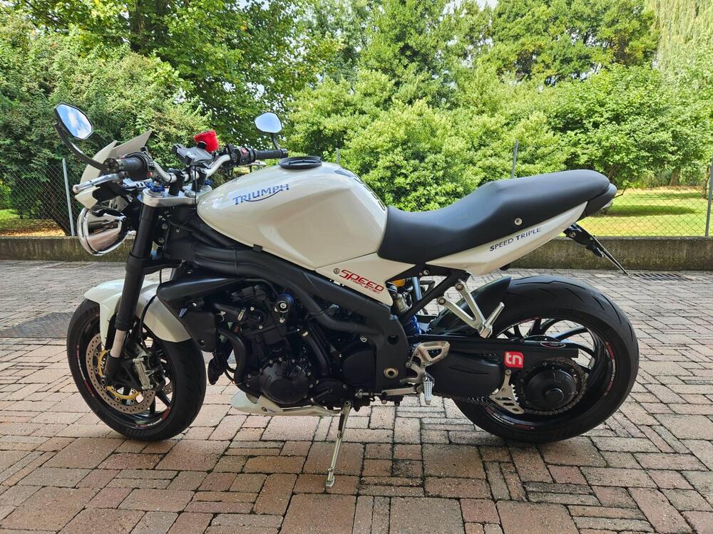 Triumph Speed Triple 1050 (2005 - 11) (5)