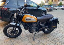 Ducati Scrambler 800 Classic (2015 - 16) usata