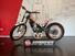 Montesa Cota 4RT 301 Race Replica (2022 - 24) (9)