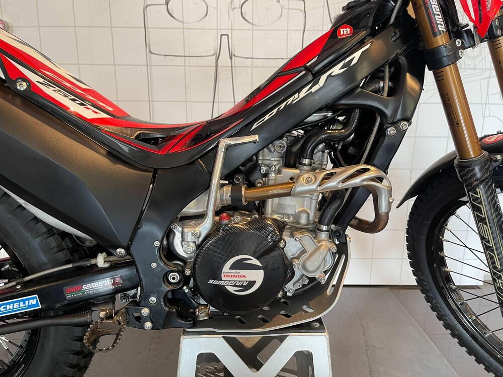 Montesa Cota 4RT 260 (2022 - 24) (2)