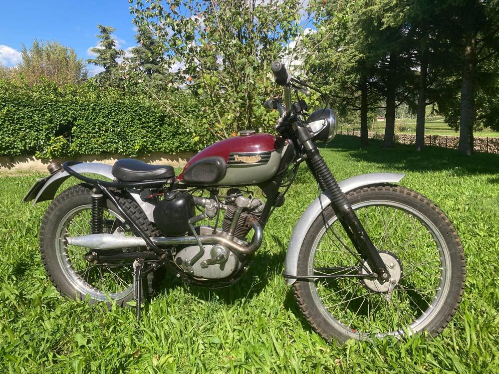 Triumph Tiger Cub