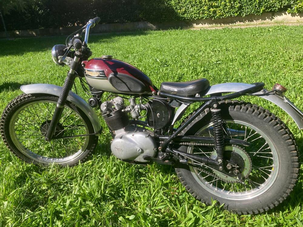 Triumph Tiger Cub (2)