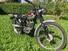 Triumph Tiger Cub (15)