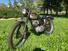 Triumph Tiger Cub (16)