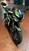 Triumph Street Triple RS (2020 - 22) (6)