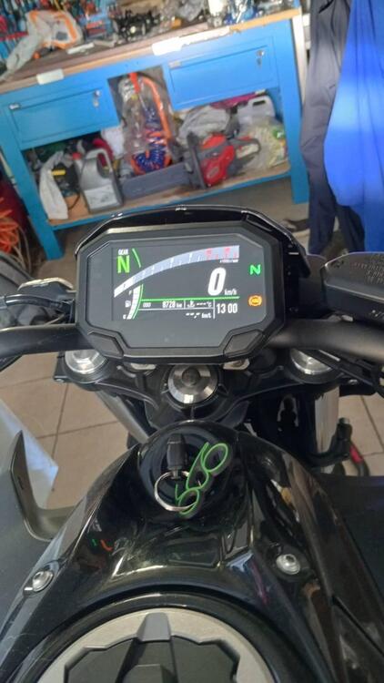 Kawasaki Z 650 Performance (2021 - 24) (2)