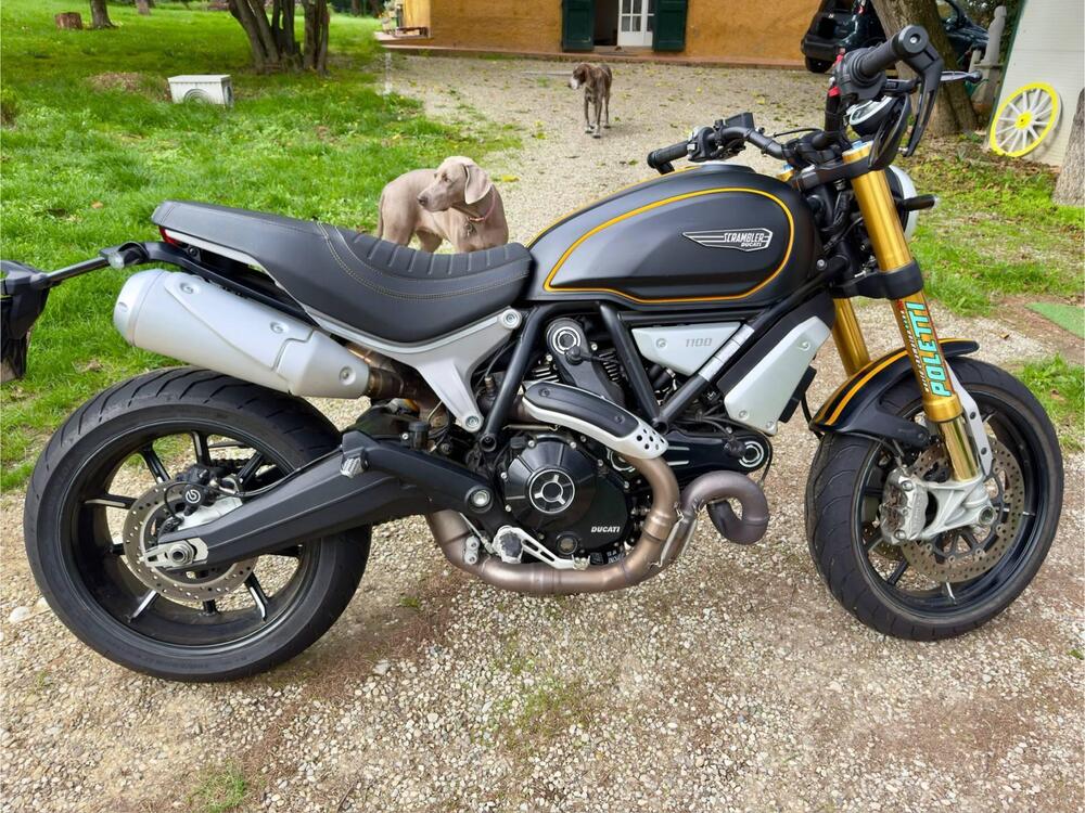 Ducati Scrambler 1100 Sport (2018 - 20) (3)