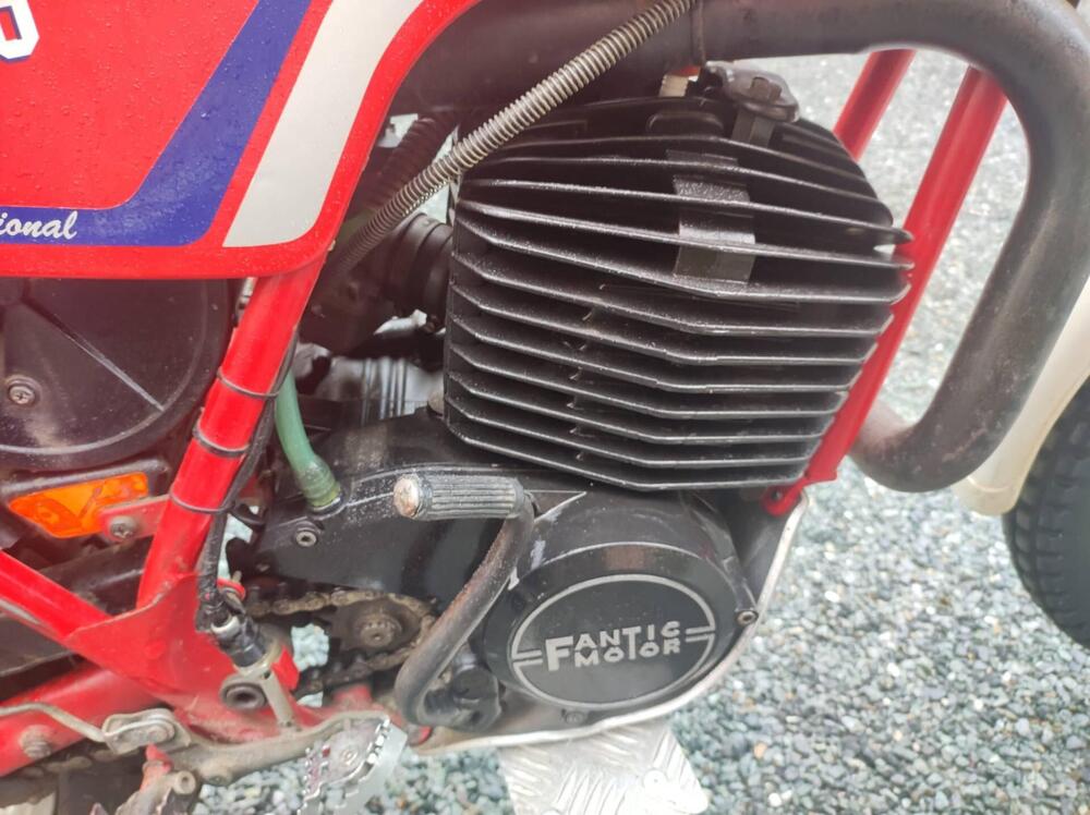 Fantic Motor Trial 300 / 301 P2 (3)