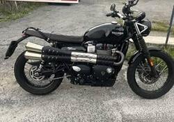 Triumph Street Scrambler 900 (2017 - 18) usata