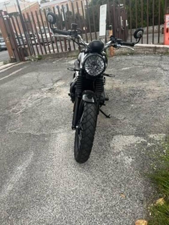 Triumph Street Scrambler 900 (2017 - 18) (2)