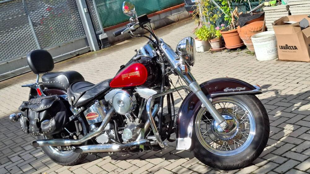 Harley-Davidson FLSTC HERITAGE SOFTAIL CLASSIC (2)