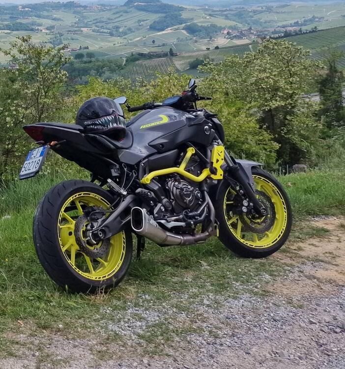 Yamaha MT-07 Moto Cage (2015 - 17)