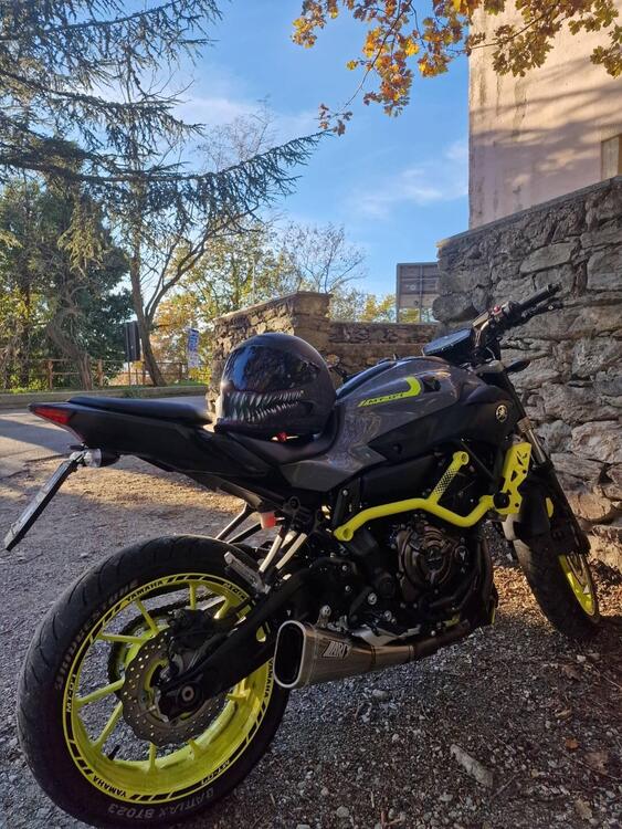 Yamaha MT-07 Moto Cage (2015 - 17) (2)