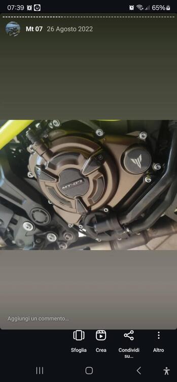 Yamaha MT-07 Moto Cage (2015 - 17) (3)